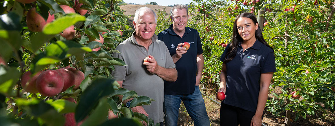 Two men and a female SA Water employee standing in an apple orchard, with an apple in their hand