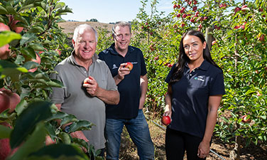 cTwo men and a female SA Water employee standing in an apple orchard, with an apple in their hand